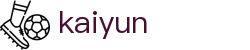 开云(中文)官网 - KAIYUN · 华人首选平台
